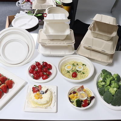 バガスのサトウキビの食品容器