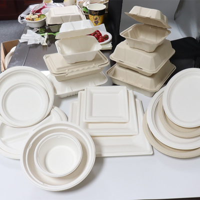 バガスのサトウキビの食品容器