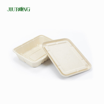 リサイクル防水バガス食品包装生分解性紙箱OEMODM