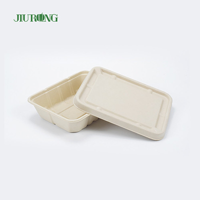 リサイクル防水バガス食品包装生分解性紙箱OEMODM