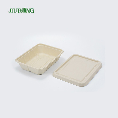 リサイクル防水バガス食品包装生分解性紙箱OEMODM