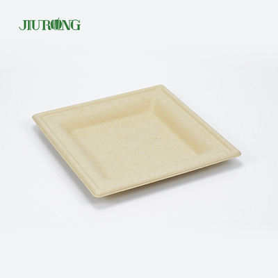 環境にやさしい使い捨てサトウキビ食品容器生分解性バガス寿司トレー